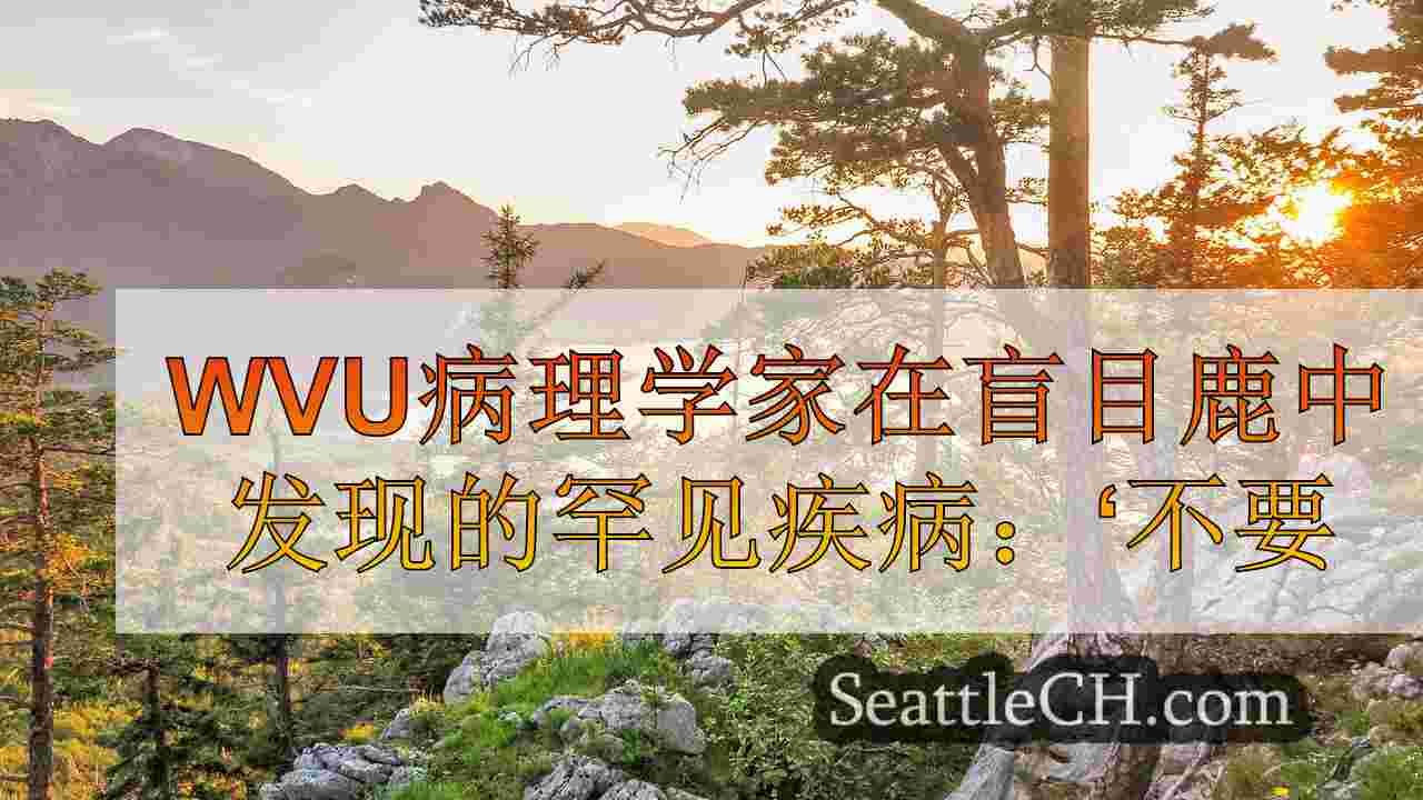 西雅图新闻 SeattleCH