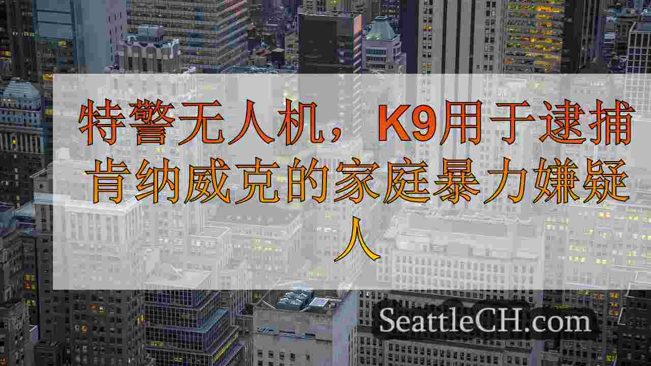 西雅图新闻 SeattleCH