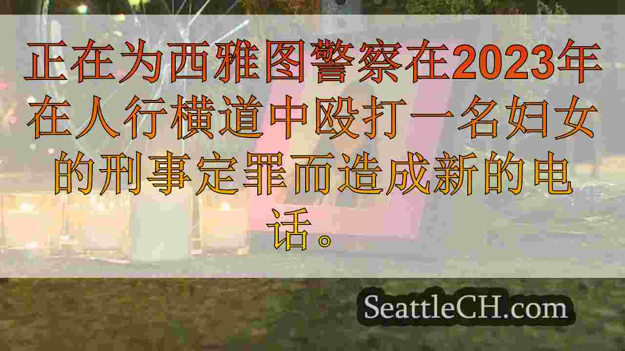 西雅图新闻 SeattleCH