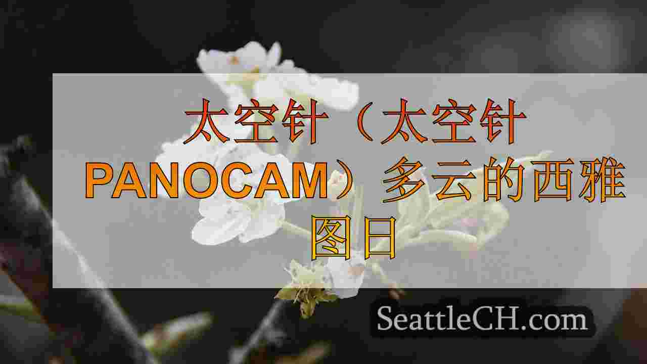 西雅图新闻 SeattleCH