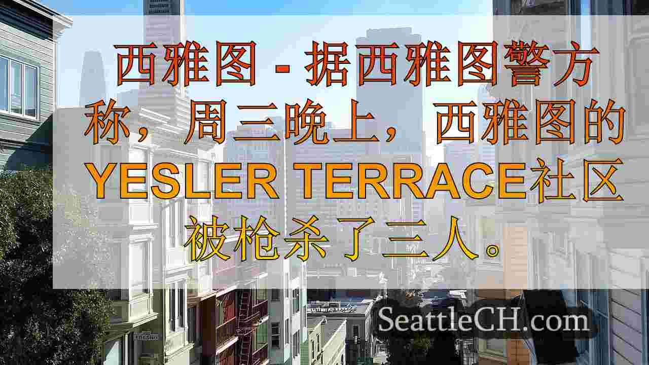 西雅图新闻 SeattleCH