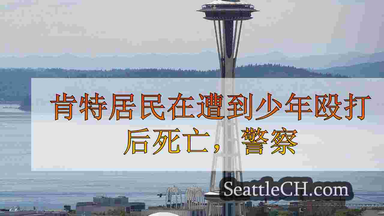 西雅图新闻 SeattleCH