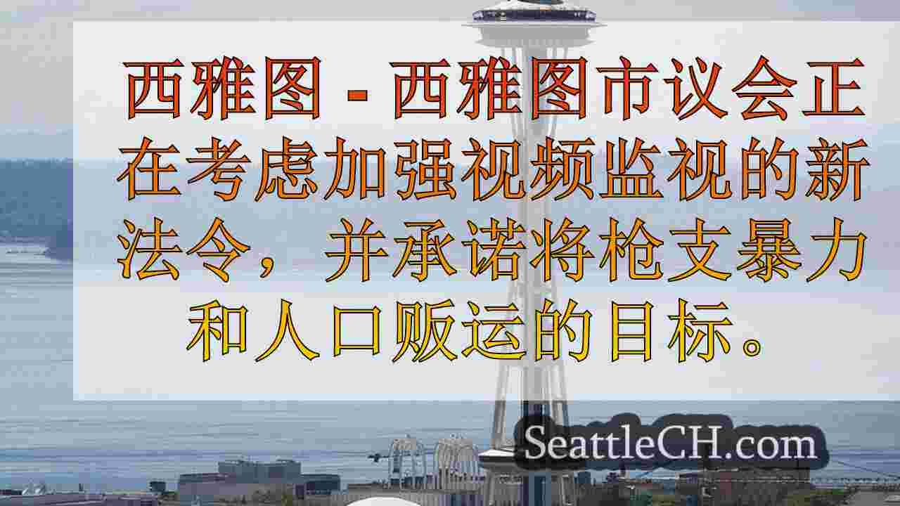 西雅图市议会将视频监视推向目标犯罪热点