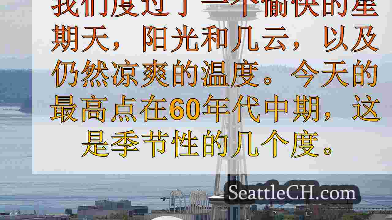 西雅图天气：阳光明媚的天空和温度温度