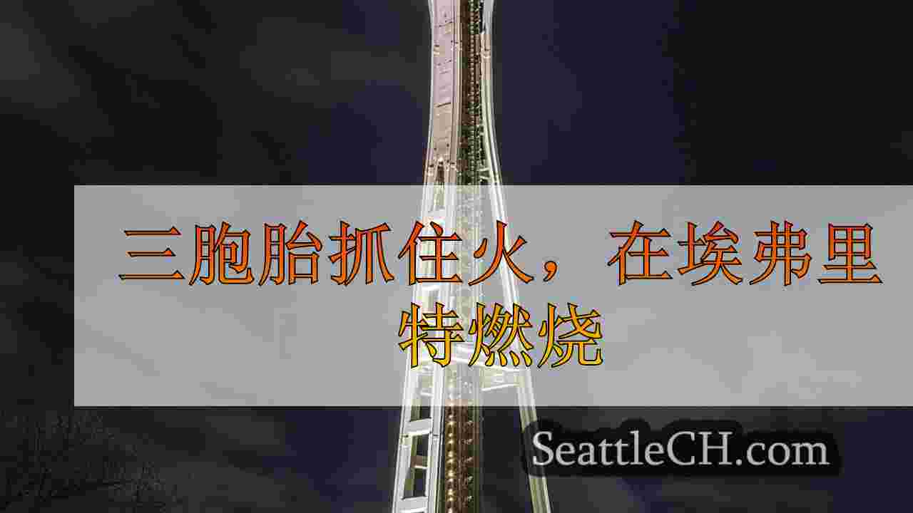 三胞胎抓住火，在埃弗里特燃烧