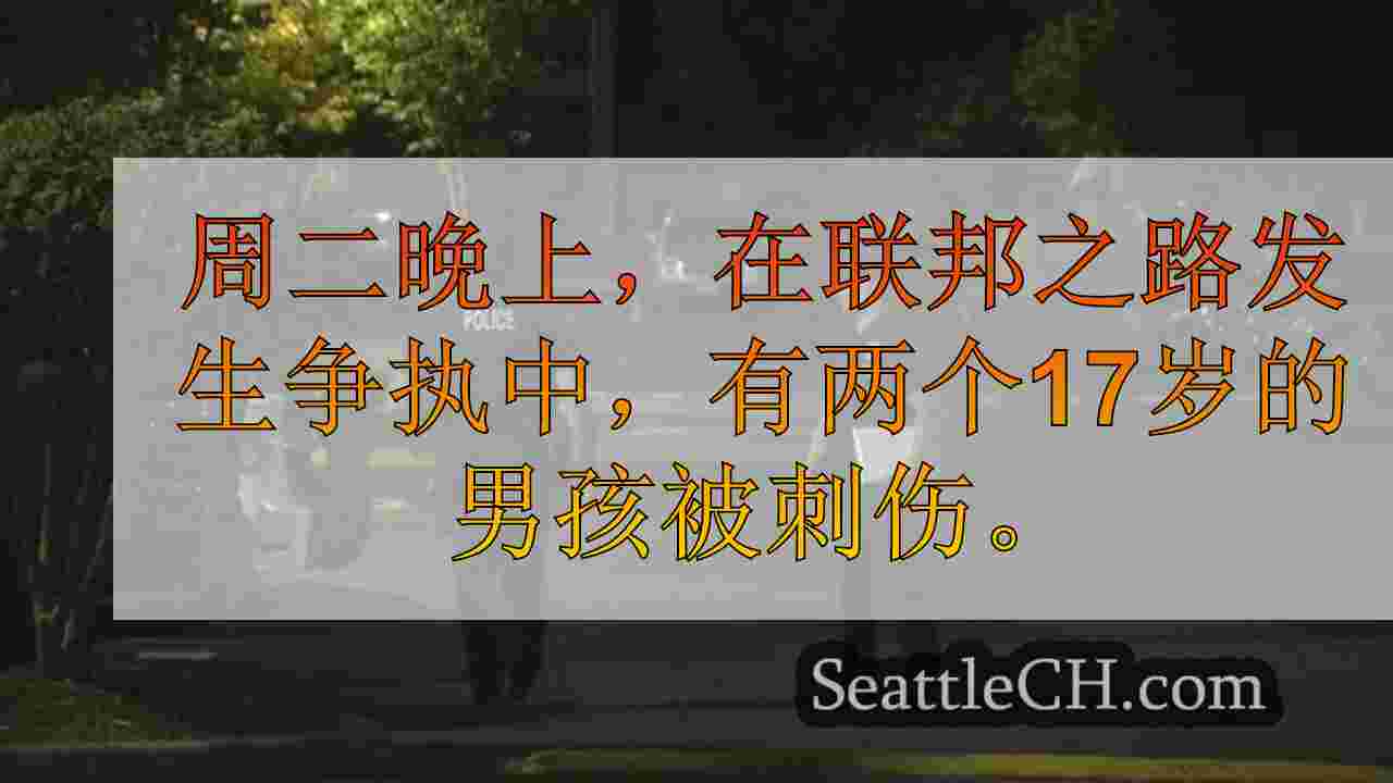 西雅图新闻 SeattleCH