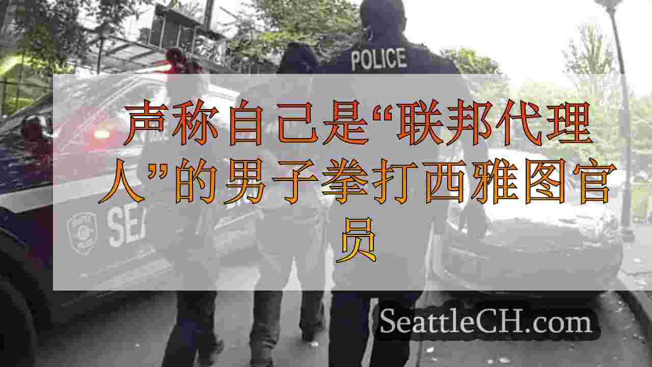声称自己是“联邦特工”的人在较早袭击后面对西雅图官员
