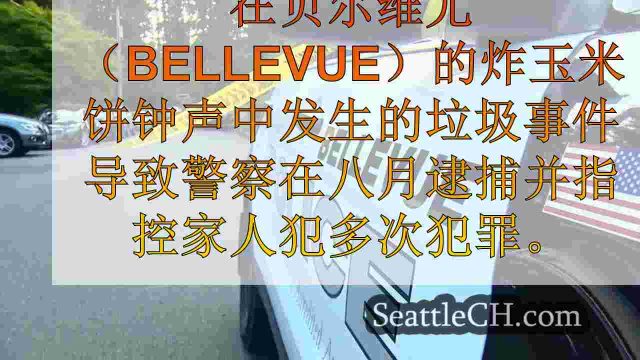 垃圾事件导致贝尔维尤警察进行调查和多次逮捕