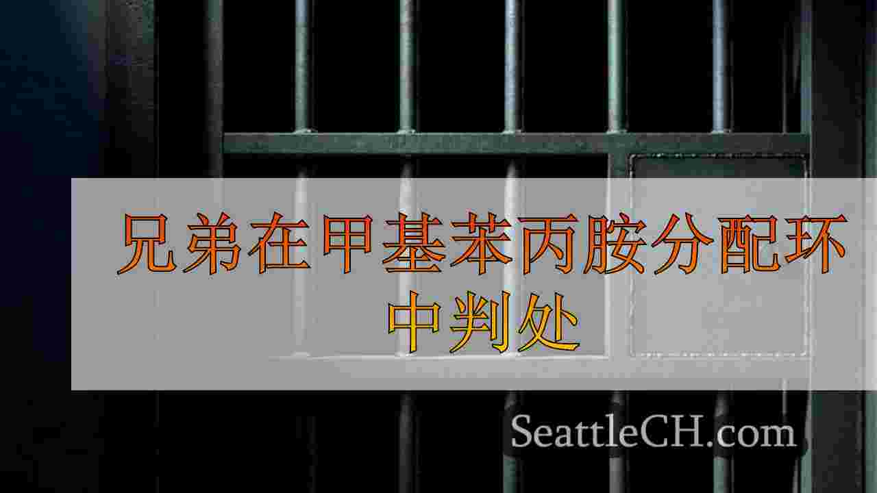 兄弟在甲基苯丙胺分配环中判处