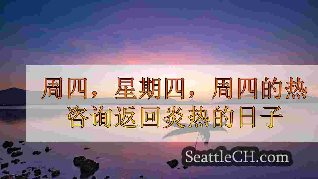 西雅图新闻 SeattleCH
