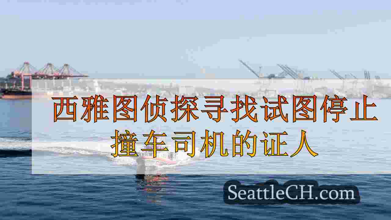 西雅图新闻 SeattleCH