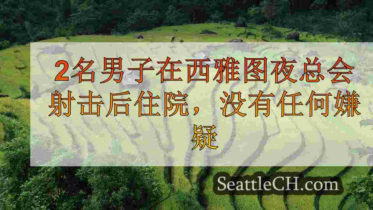 西雅图新闻 SeattleCH