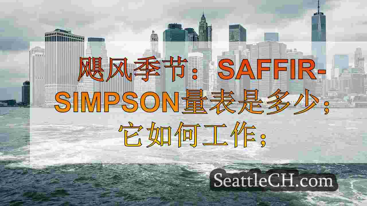 西雅图新闻 SeattleCH