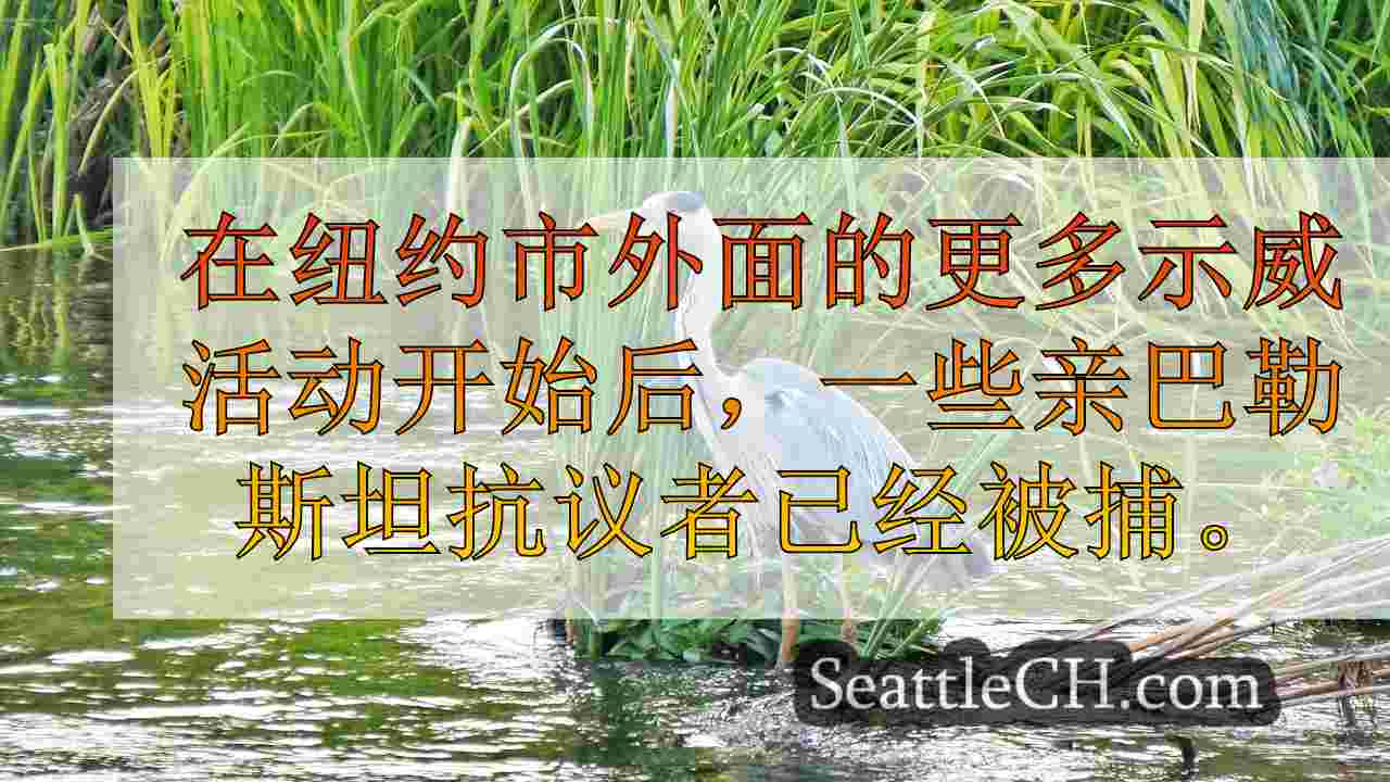 西雅图新闻 SeattleCH