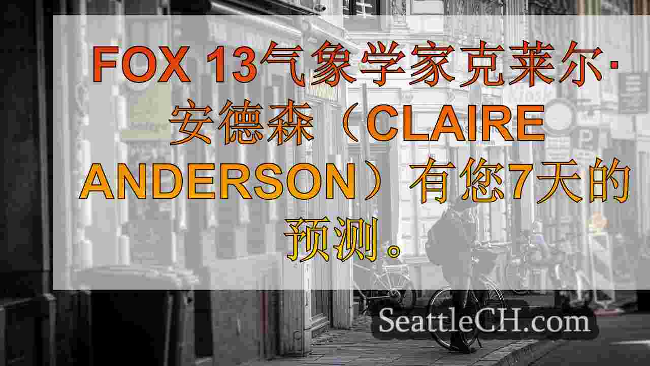 西雅图新闻 SeattleCH