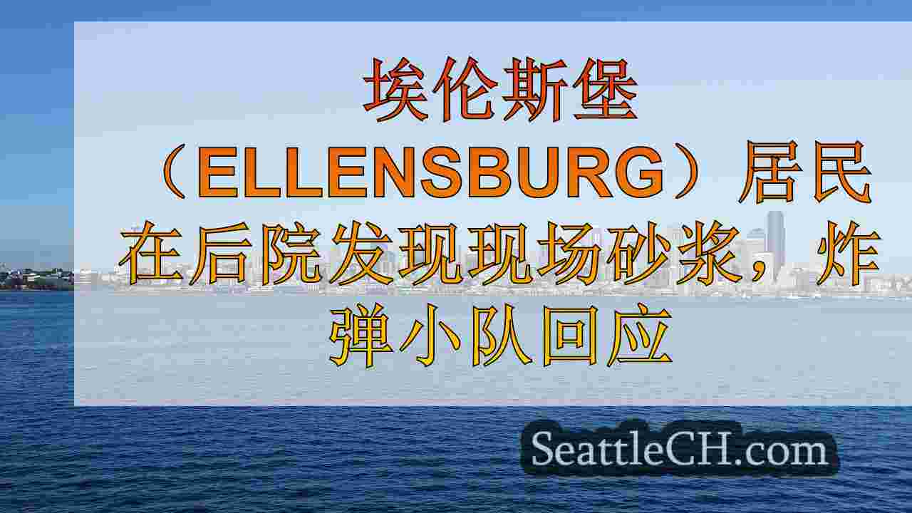 西雅图新闻 SeattleCH