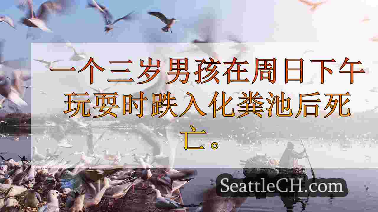 西雅图新闻 SeattleCH
