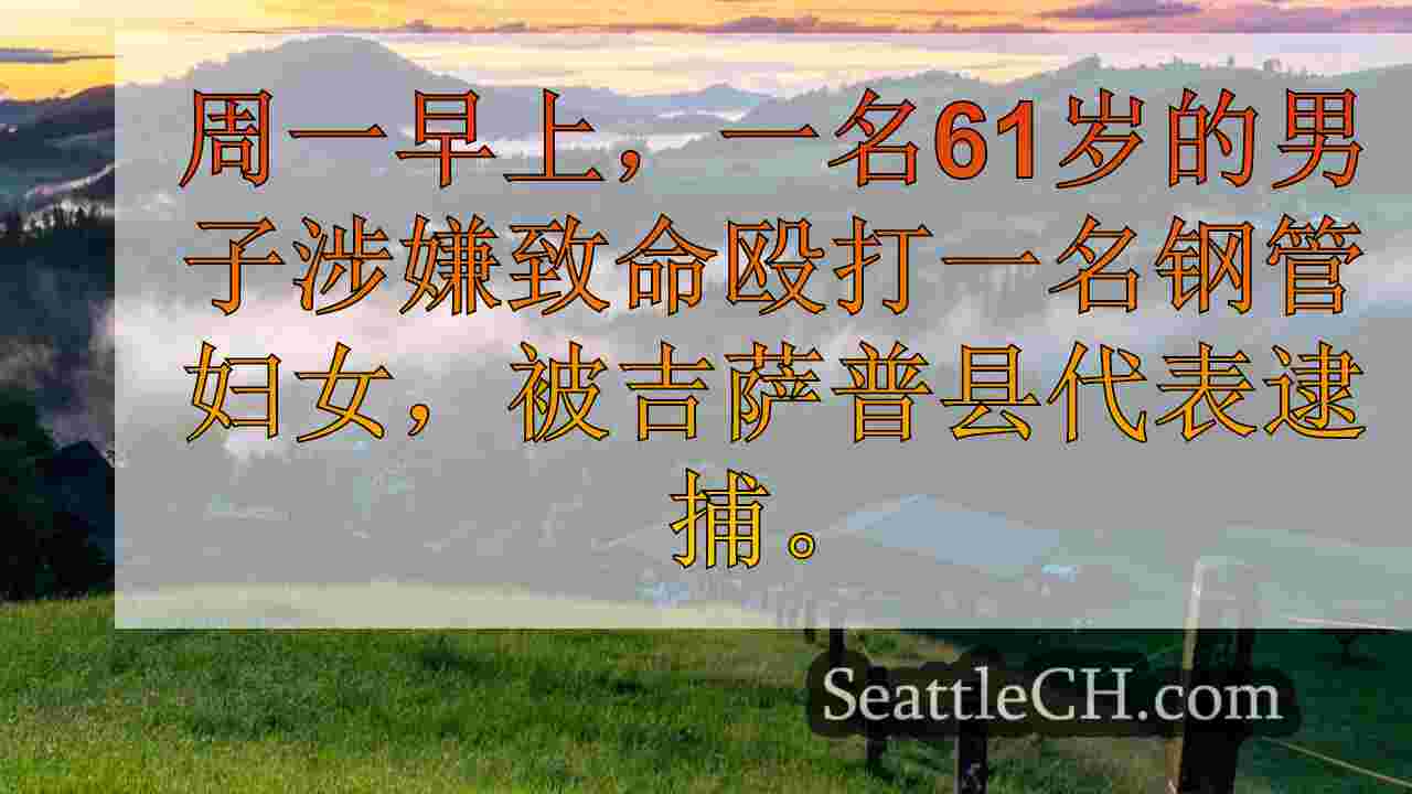 西雅图新闻 SeattleCH