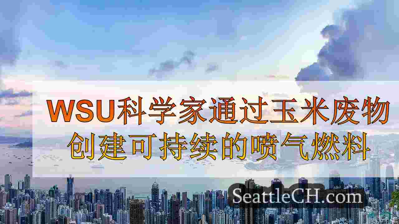西雅图新闻 SeattleCH