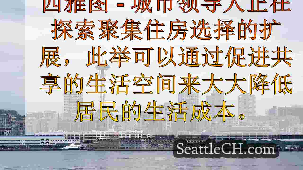 西雅图市议会的眼睛共同生活的空间作为解决方案的解决方案