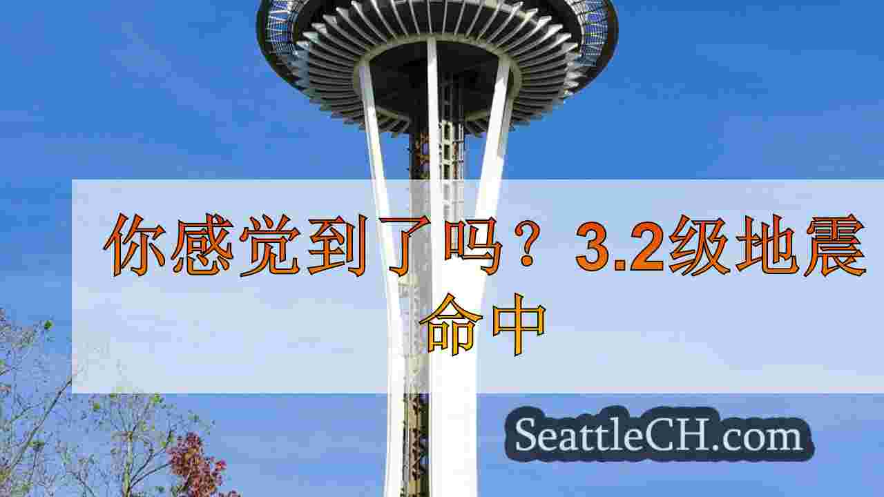 西雅图新闻 SeattleCH