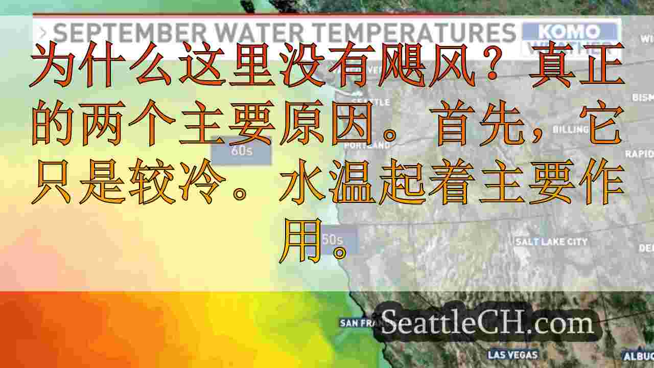 西雅图新闻 SeattleCH