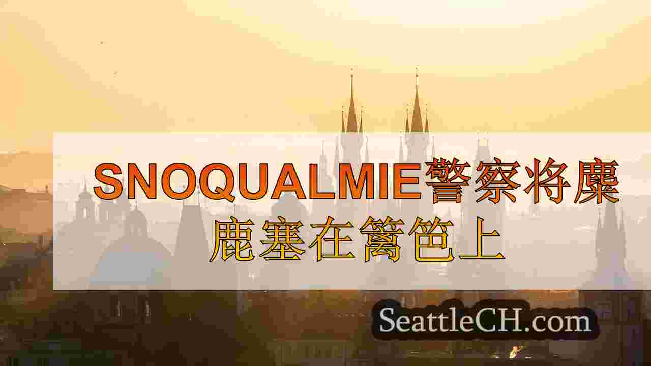 西雅图新闻 SeattleCH