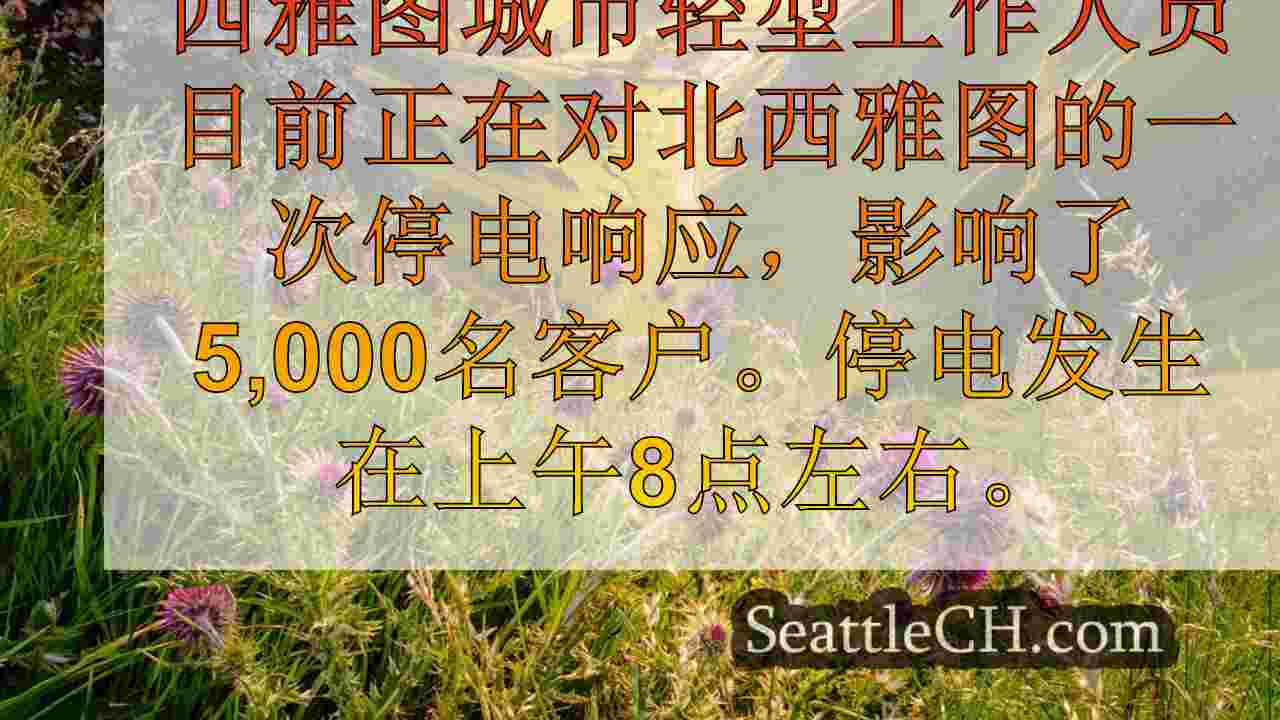 西雅图新闻 SeattleCH
