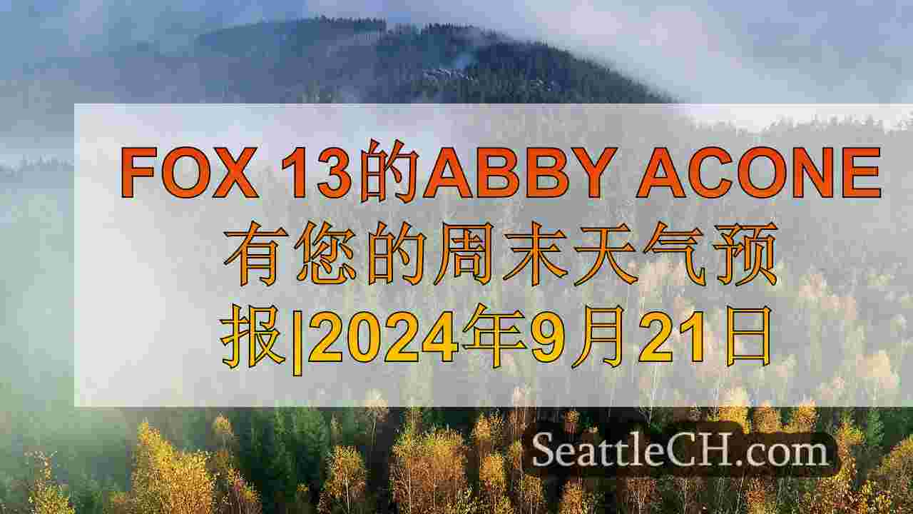 西雅图新闻 SeattleCH