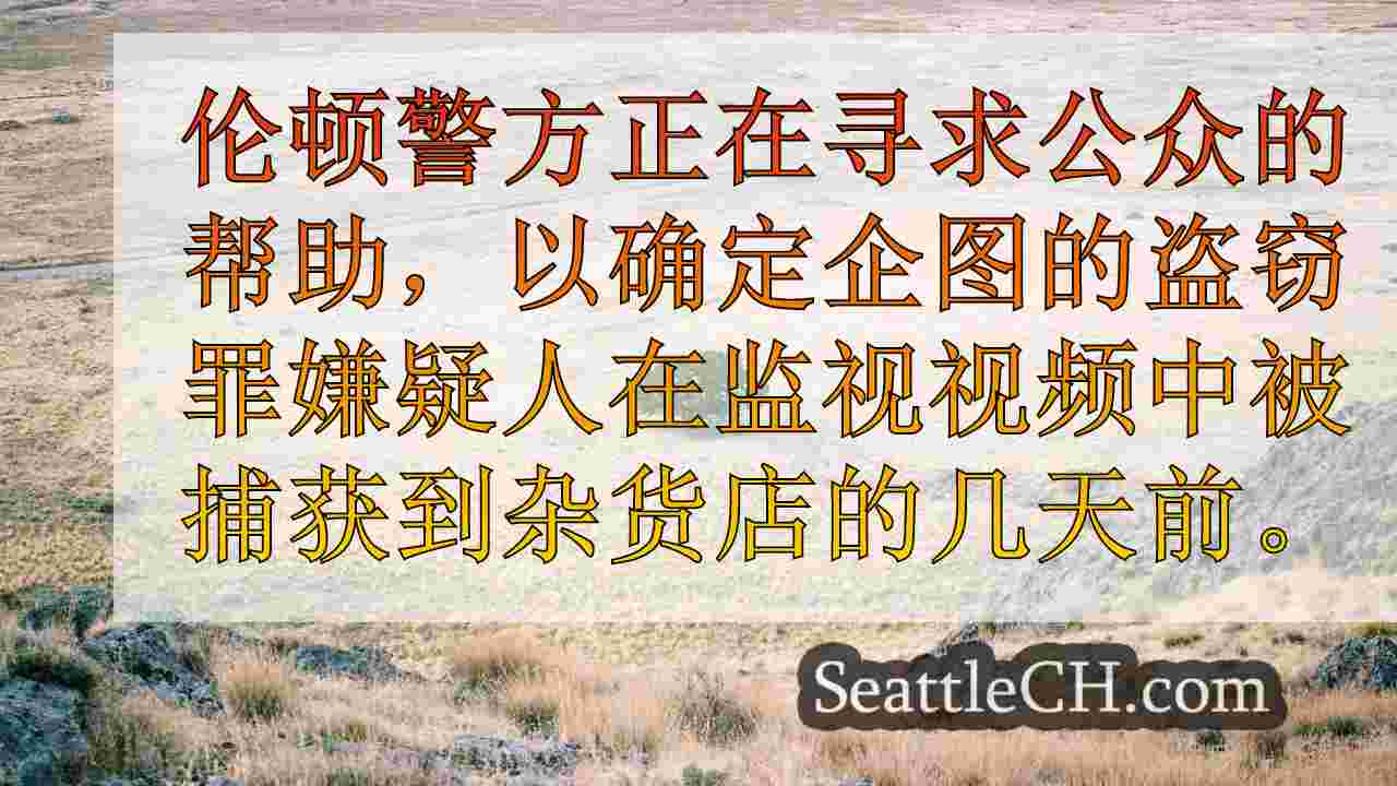 西雅图新闻 SeattleCH