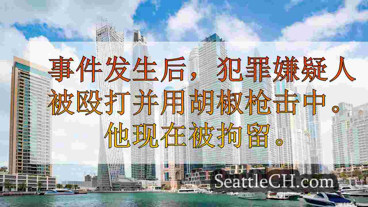 西雅图新闻 SeattleCH
