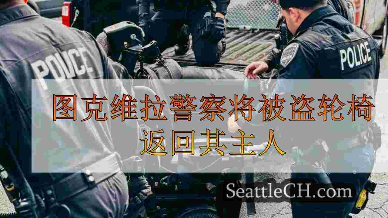 图克维拉警察将被盗轮椅返回其主人