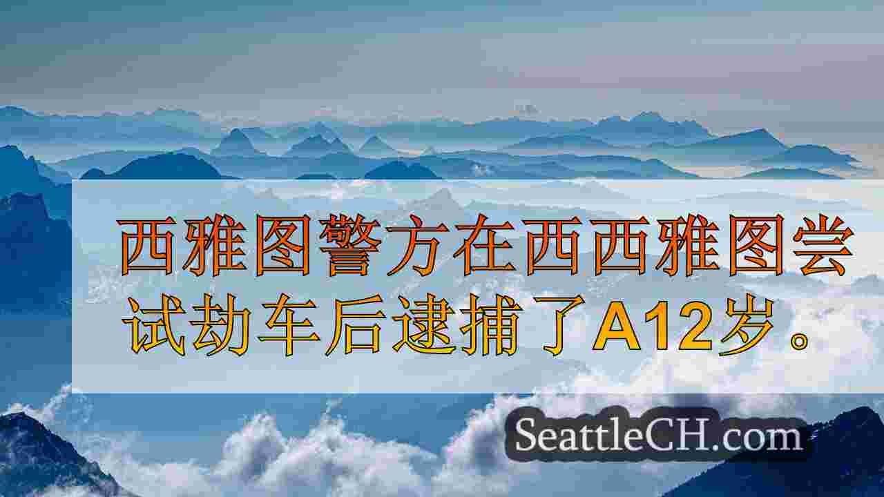 12岁的西雅图企图劫车后被捕