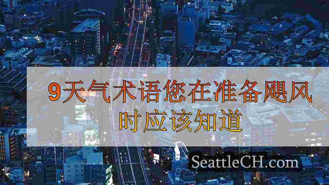 西雅图新闻 SeattleCH