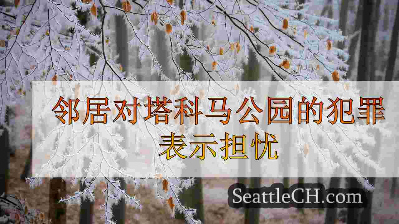 西雅图新闻 SeattleCH