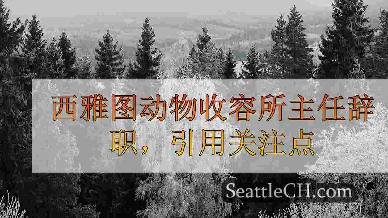 西雅图新闻 SeattleCH