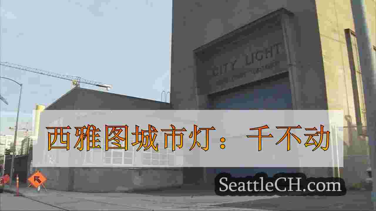 西雅图城市灯：千不动