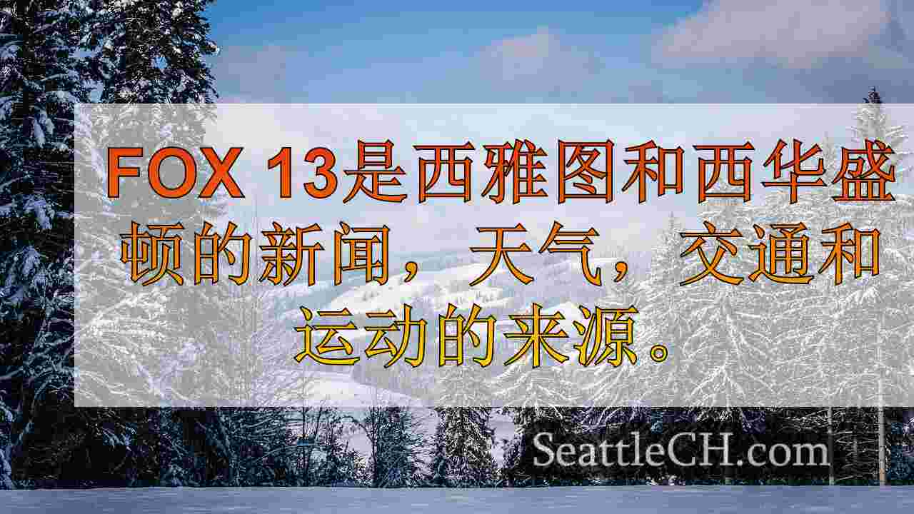 西雅图新闻 SeattleCH