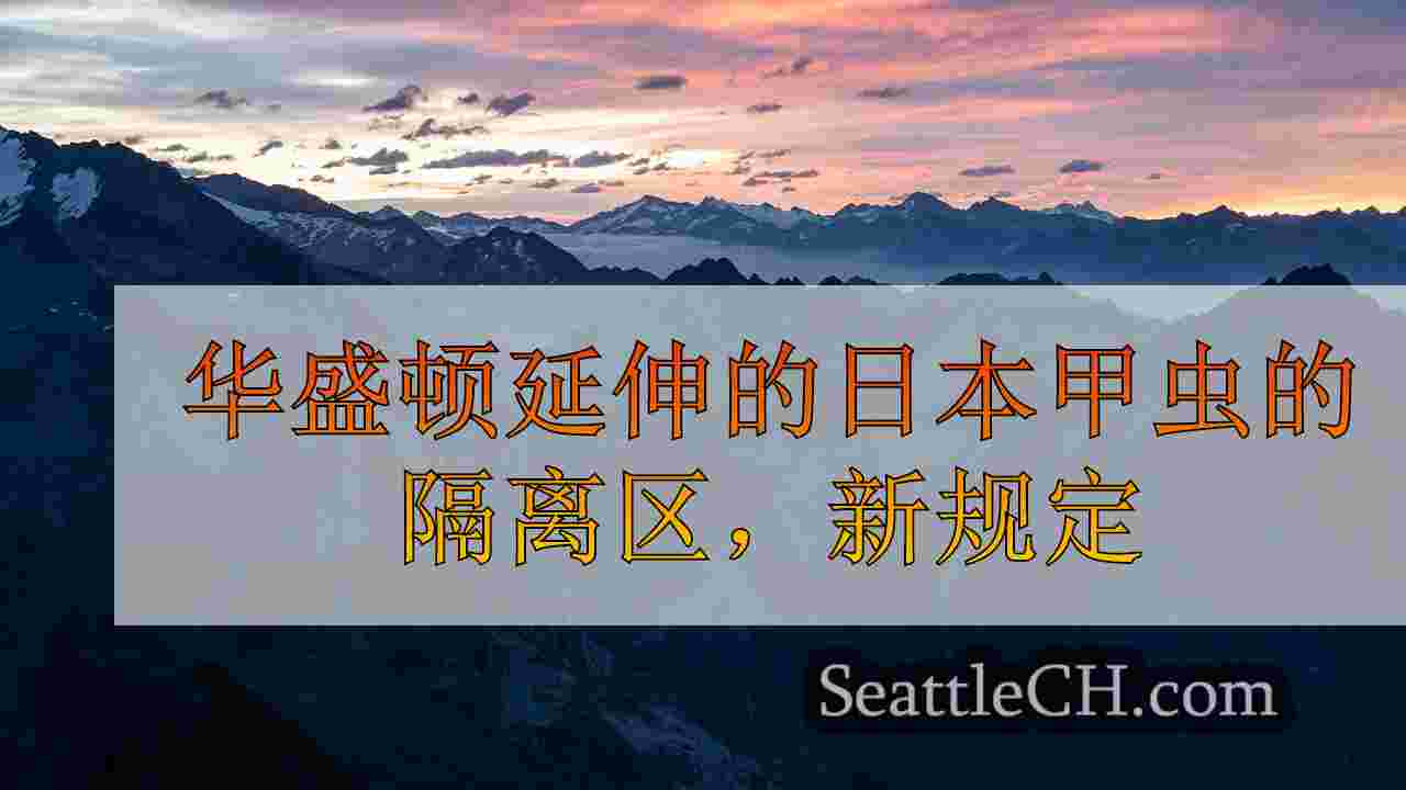 西雅图新闻 SeattleCH