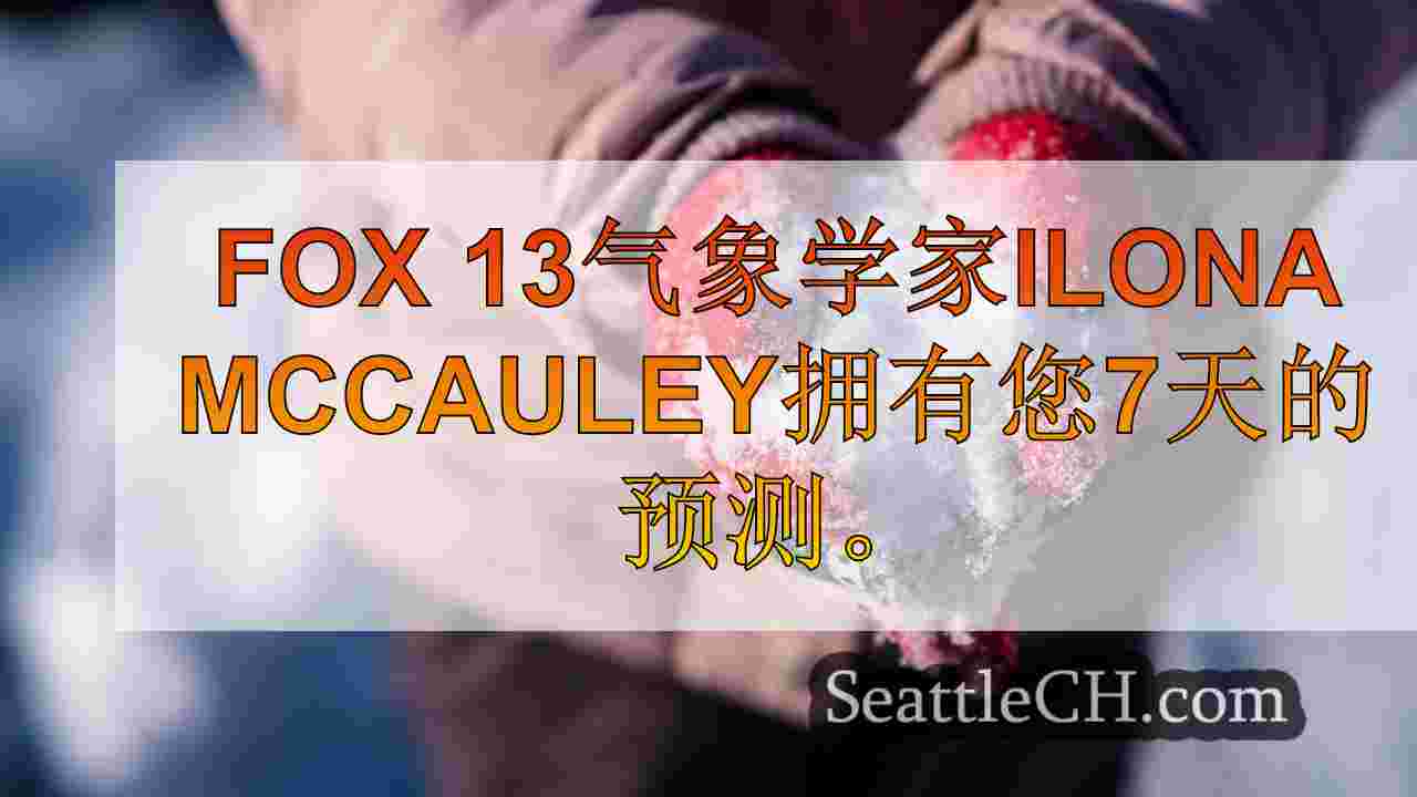 西雅图新闻 SeattleCH