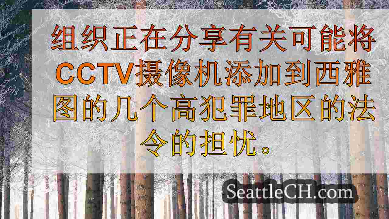 西雅图新闻 SeattleCH