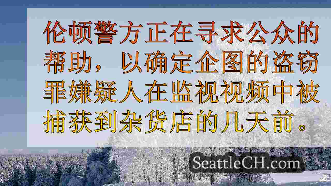 西雅图新闻 SeattleCH