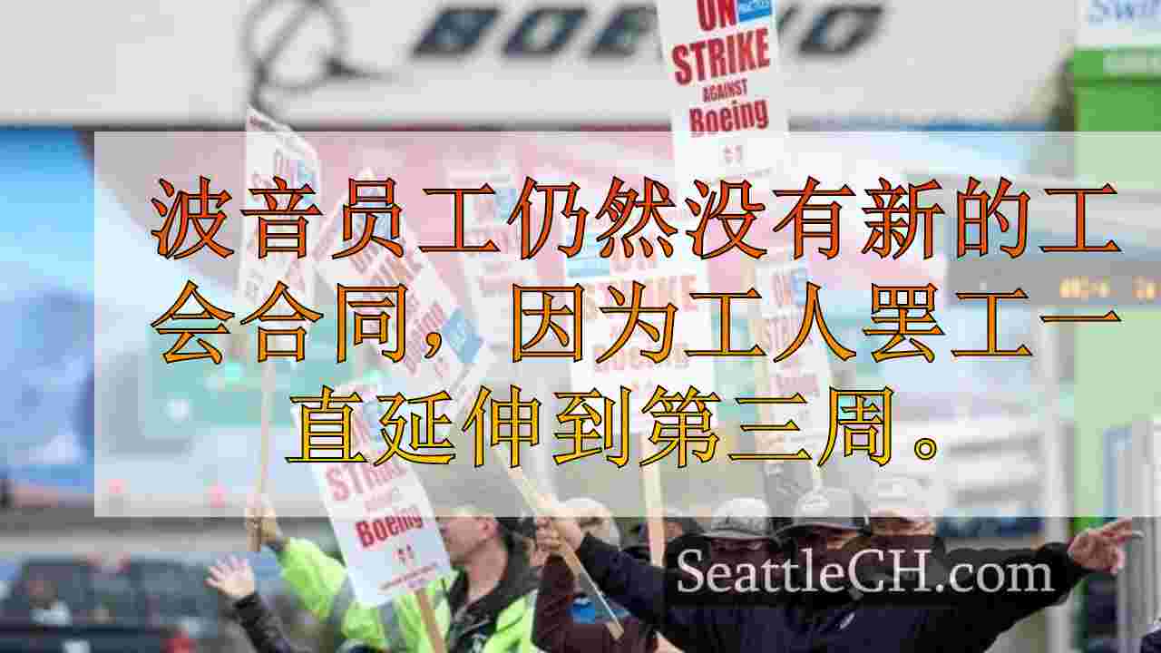 西雅图新闻 SeattleCH