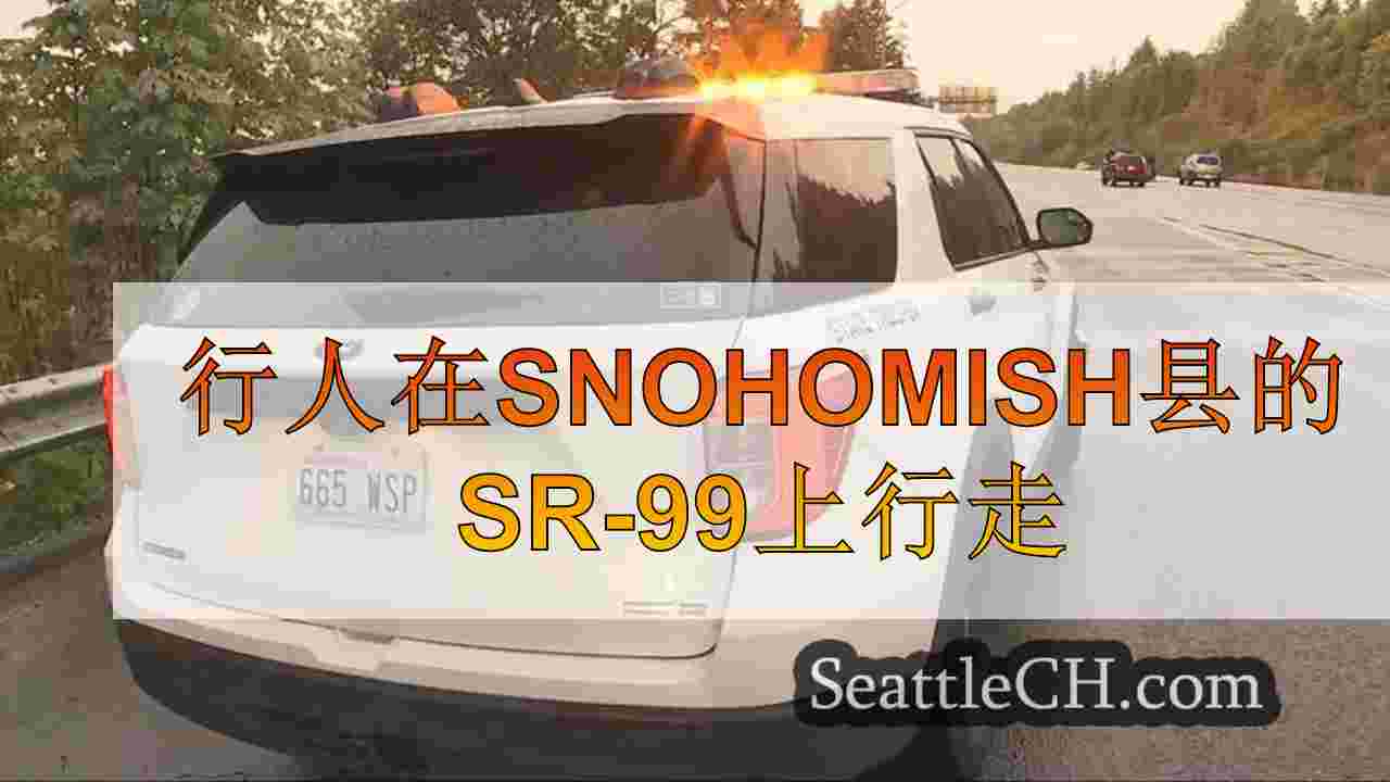 行人在Snohomish县的SR-99上行走