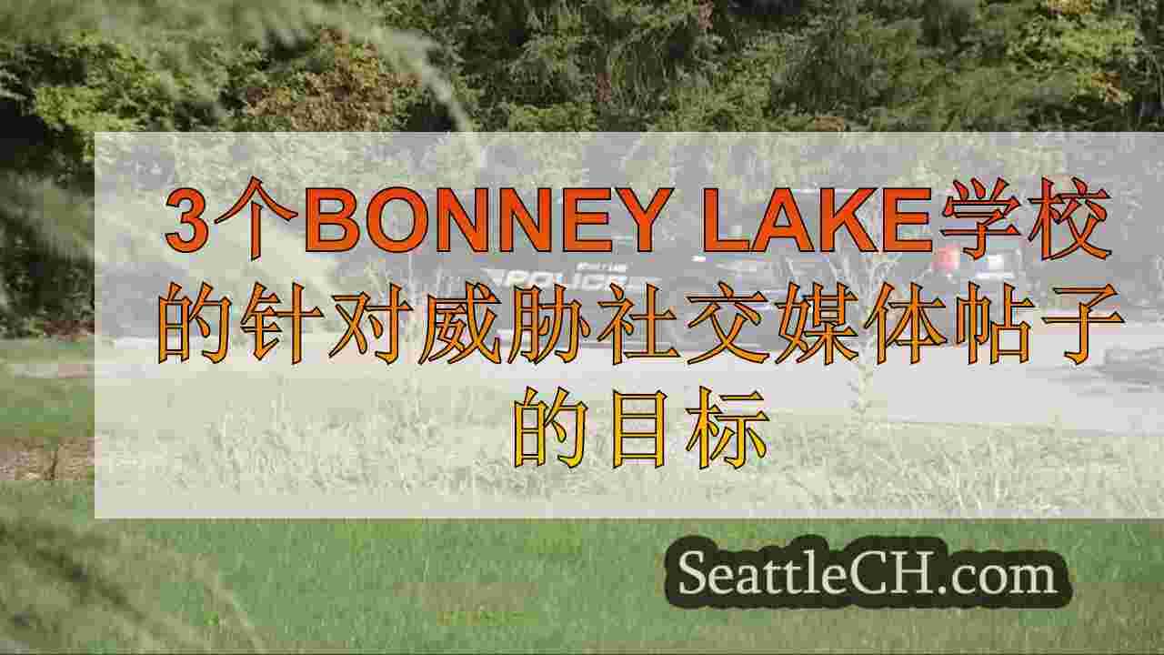 3个Bonney Lake学校的针对威胁社交媒体帖子的目标
