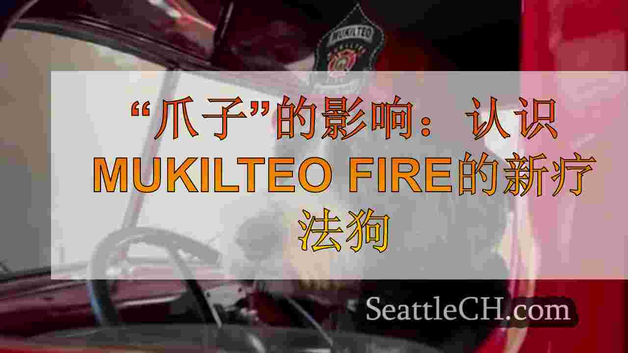 “爪子”的影响：认识Mukilteo Fire的新疗法狗