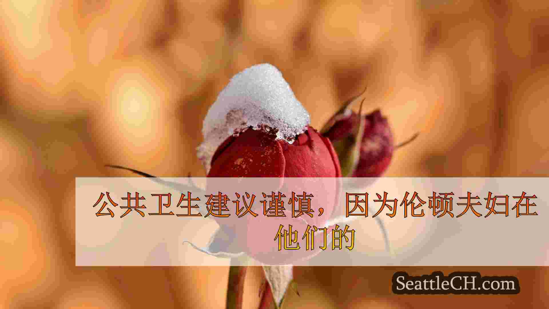 西雅图新闻 SeattleCH