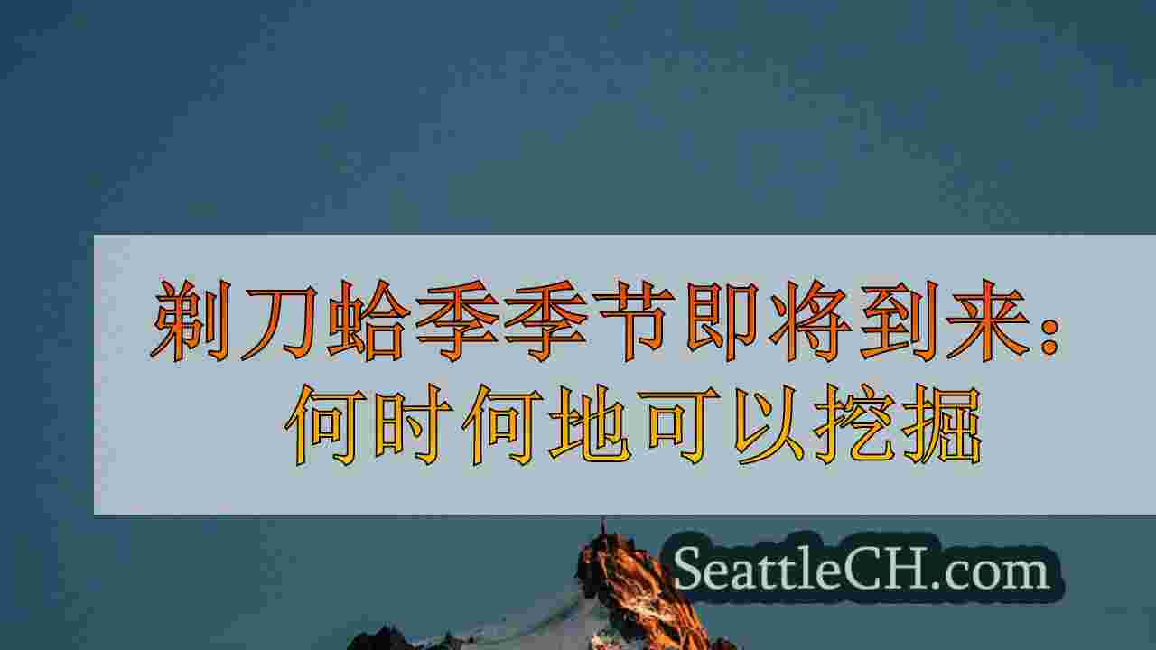 西雅图新闻 SeattleCH