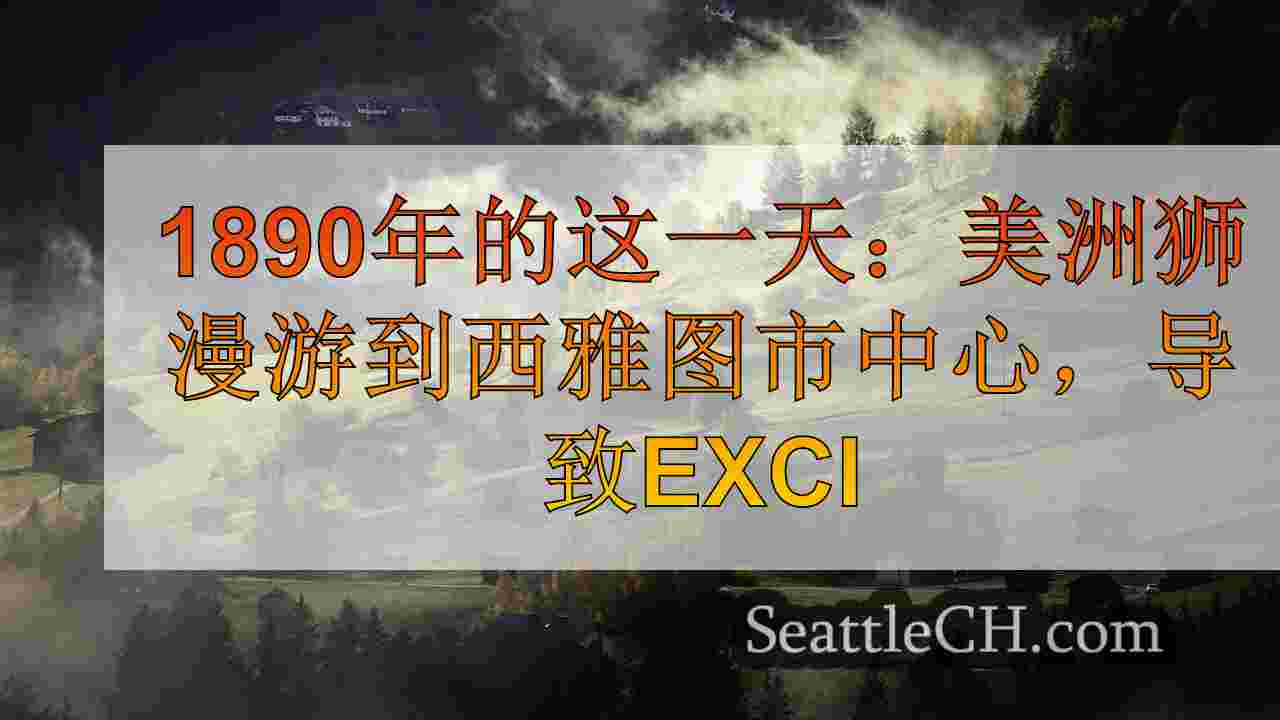 西雅图新闻 SeattleCH