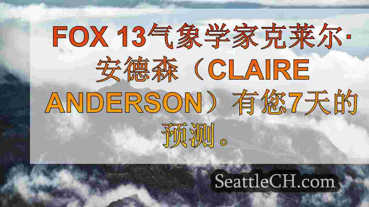 西雅图新闻 SeattleCH